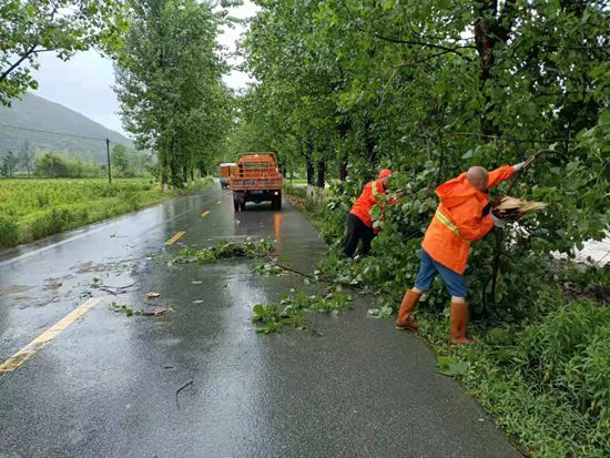 铅山公路分局全力清理倒伏